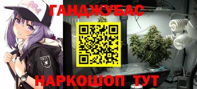 индика Северобайкальск