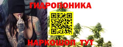 индика Северобайкальск