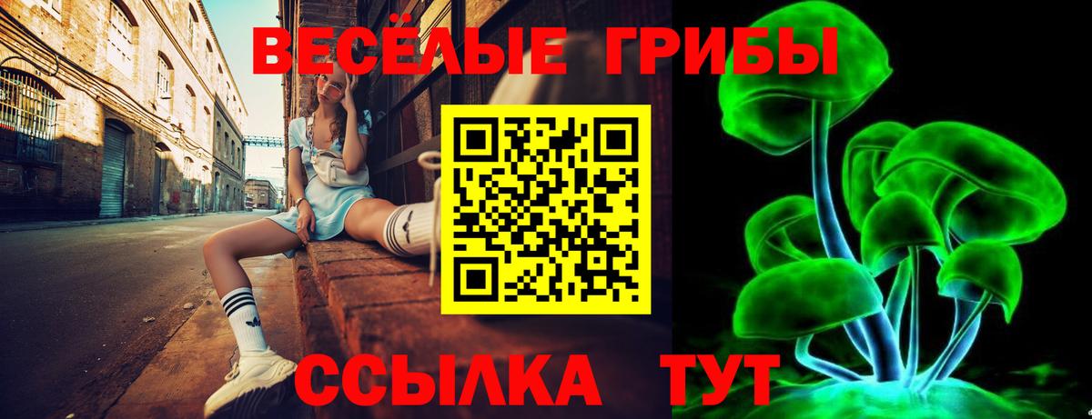 Псилоцибиновые грибы мицелий  Вход с VPN  Ачинск  Псилоцибиновые грибы прущие грибы 