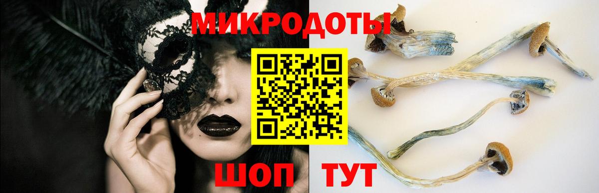 Псилоцибиновые грибы Psilocybine cubensis Ачинск